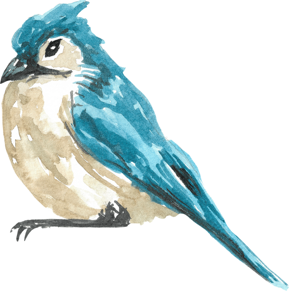 sparrow bird blue perch watercolor